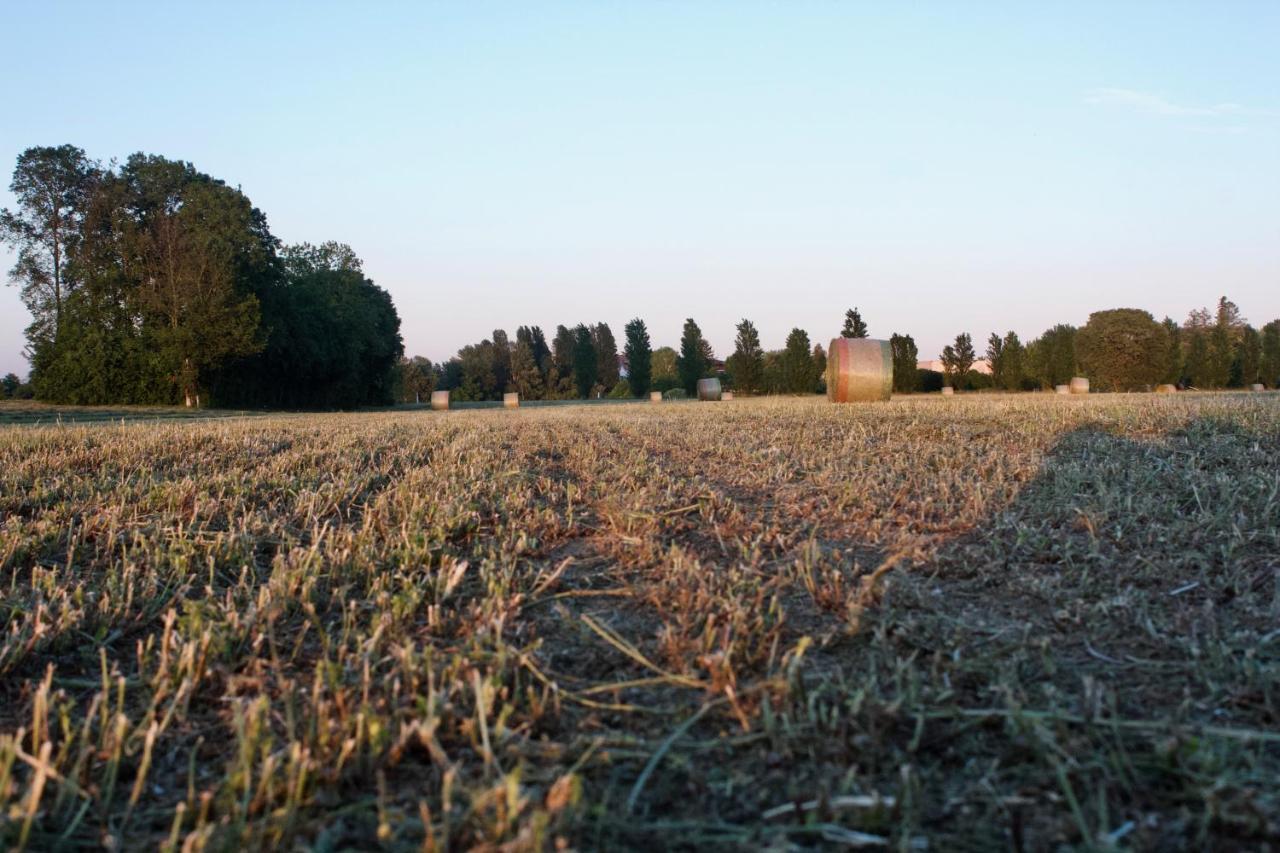 Il Gesuita Mantova Kültér fotó